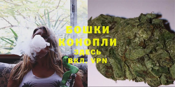 бошки Протвино