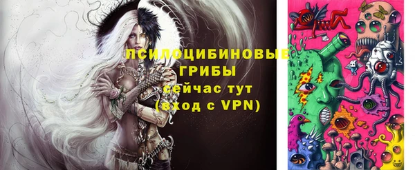 ешки Пролетарск