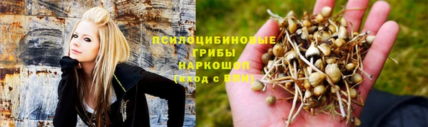 бошки Протвино