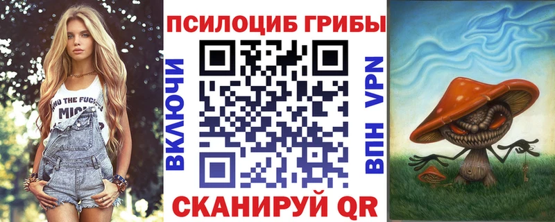 Галлюциногенные грибы GOLDEN TEACHER  Купить  Райчихинск 